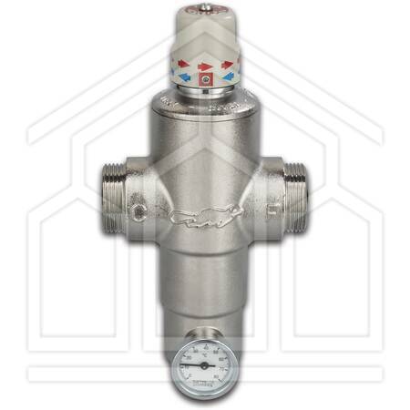 RP303DN25 ECOSAN MISCELATORE TERMOSTATICO 45°C ø1"