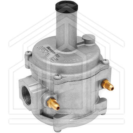 STABILIZZATORE DOPPIA MEMBRANA Mod. FRG/2MT - attacchi 1" FF