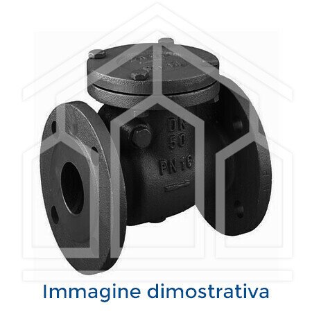 561 VALVOLA DI RITEGNO PVC-U/EPDM ø2" DN50