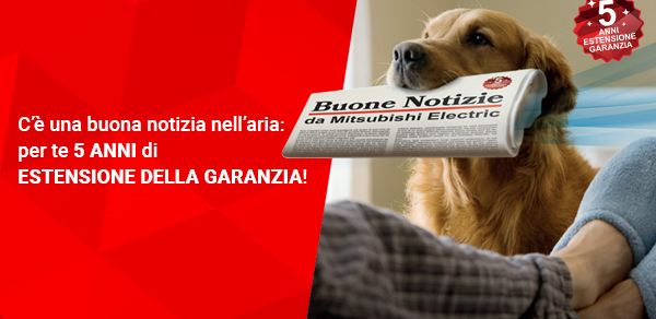 Immagine anteprima