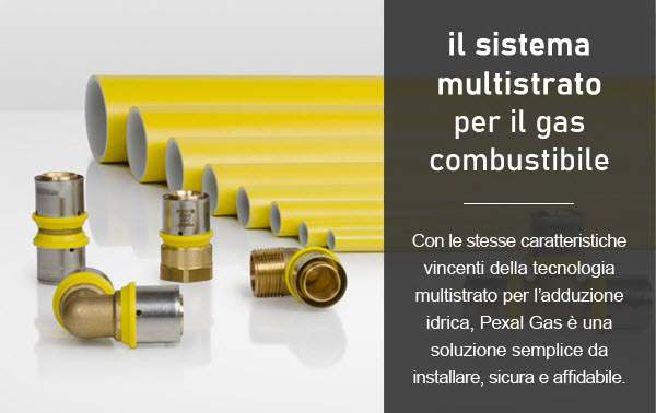 Immagine anteprima
