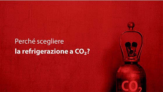 Immagine anteprima
