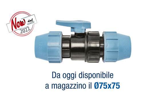 Immagine anteprima