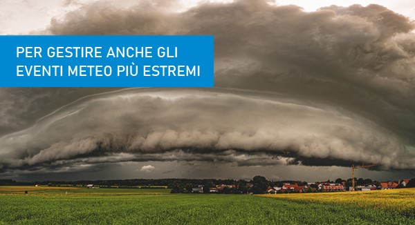 Immagine anteprima