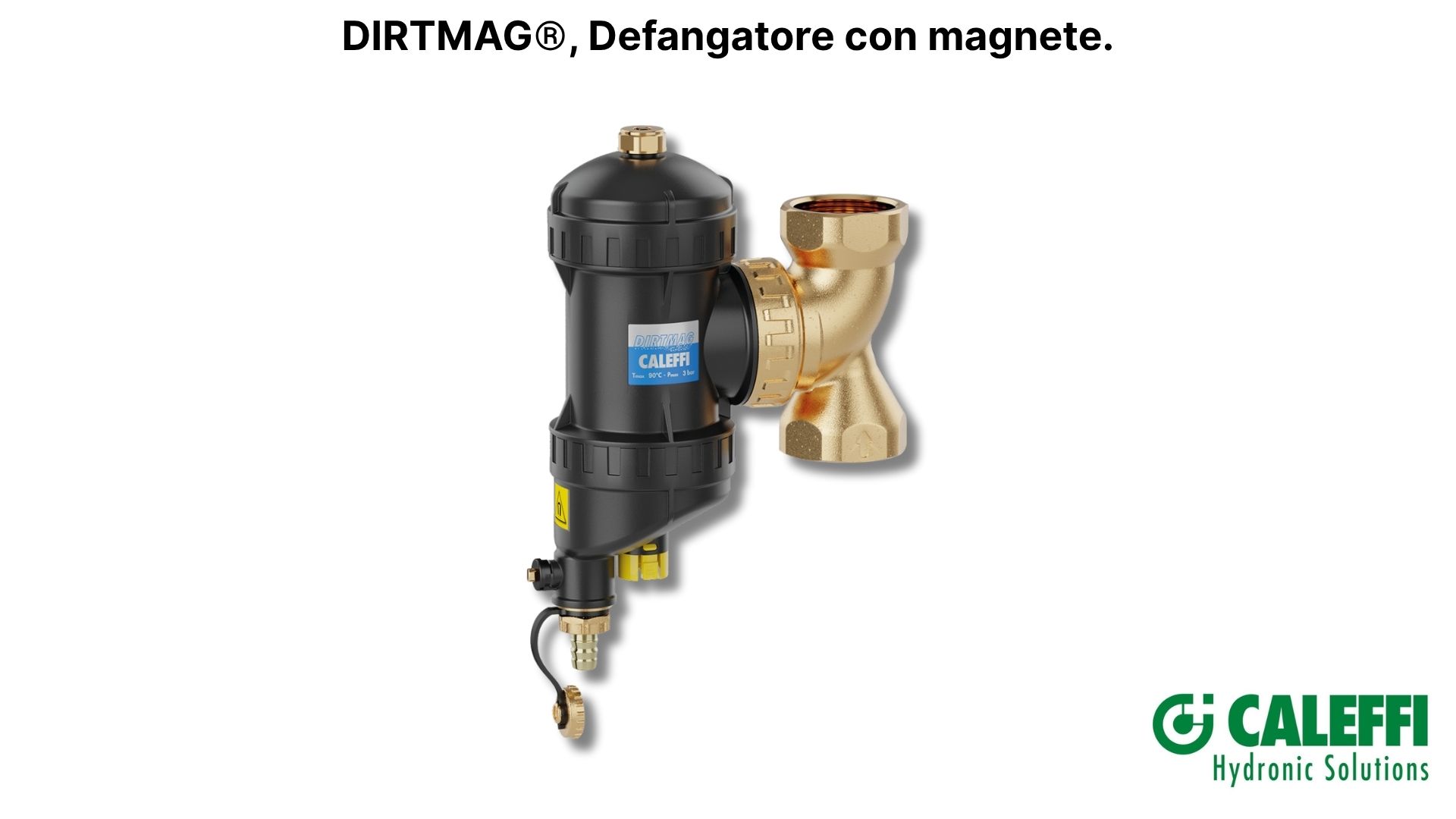 Immagine anteprima